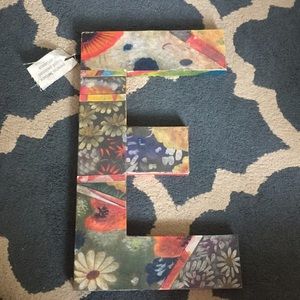 Letter “E” Anthropologie hand painted